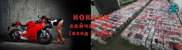 тгк Белокуриха