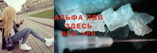 прущие грибы Баксан
