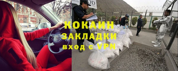 PSILOCYBIN Нязепетровск