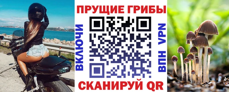 где можно купить   Шатура  Галлюциногенные грибы прущие грибы 